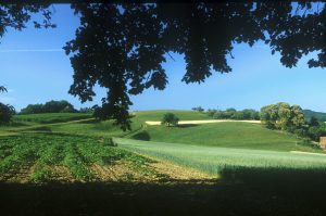 Die Landschaft geniessen