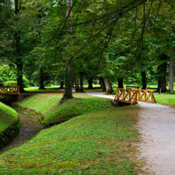 Entspannung finden im Park rund um die Therme Dobrna